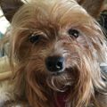 Profile picture phoenix509.bsky.social