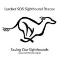 Profile picture lurchersos.bsky.social