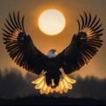 Profile picture zafarmujtabaie.bsky.social