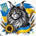 Profile picture bobcatirl.bsky.social