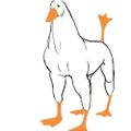Profile picture factorone.bsky.social