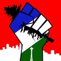 Profile picture cascadiaresistance.bsky.social