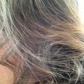 Profile picture delibuks.bsky.social