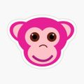 Profile picture thepinkmonkey.bsky.social