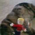 Profile picture carpenter40821074.bsky.social