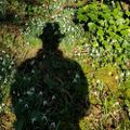 Profile picture jonlen.bsky.social