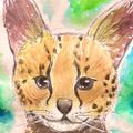 Profile picture tenmontamago.bsky.social