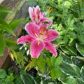 Profile picture jeanmyer.bsky.social