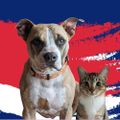 Profile picture mollyziske.bsky.social