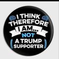 Profile picture eclipsefox32.bsky.social