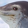 Profile picture seawolflestat.bsky.social