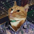Profile picture hansmoleman.com