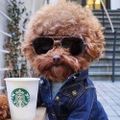 Profile picture mmalexecheverre.bsky.social