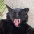 Profile picture kz0817.bsky.social