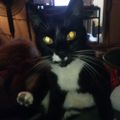Profile picture eclipsis0.bsky.social