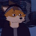 Profile picture furfox.bsky.social