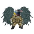 Profile picture pigeonindexfella.bsky.social