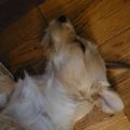 Profile picture darnich.bsky.social
