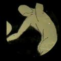 Profile picture bluemanu.bsky.social