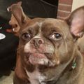 Profile picture supercooper4.bsky.social
