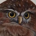 Profile picture elcapitahaddock.bsky.social