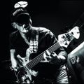 Profile picture rtimmer.bsky.social
