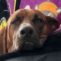 Profile picture leohayden.bsky.social