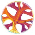 Profile picture invcomplexity.skewed.de
