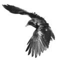 Profile picture marg0131.bsky.social