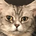 Profile picture nic-hk.bsky.social