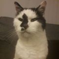 Profile picture mynameismabel.bsky.social