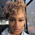 Profile picture catdabrat.bsky.social