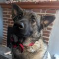 Profile picture randersonpanderson.bsky.social