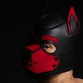 Profile picture puprally.bsky.social