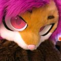 Profile picture bunkyoho.bsky.social
