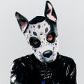 Profile picture pupkaztonic.bsky.social