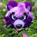 Profile picture djinraccoon.bsky.social