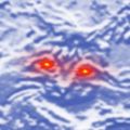Profile picture pcativists.bsky.social