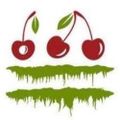 Profile picture thecherryswamp.bsky.social