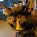 Profile picture junebug082.bsky.social