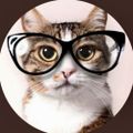 Profile picture mshappygeek.bsky.social