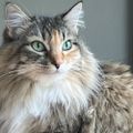 Profile picture cleopatrabelle.bsky.social