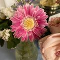 Profile picture melissa0numbers.bsky.social