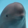 Profile picture edclews.bsky.social
