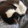 Profile picture fionapentith.bsky.social