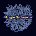 Profile picture fnucleosome.bsky.social