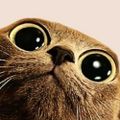 Profile picture etablio.bsky.social