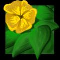 Profile picture segfaultvicta.bsky.social