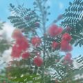 Profile picture danslanature.bsky.social
