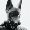 Profile picture maelstrom.bsky.social